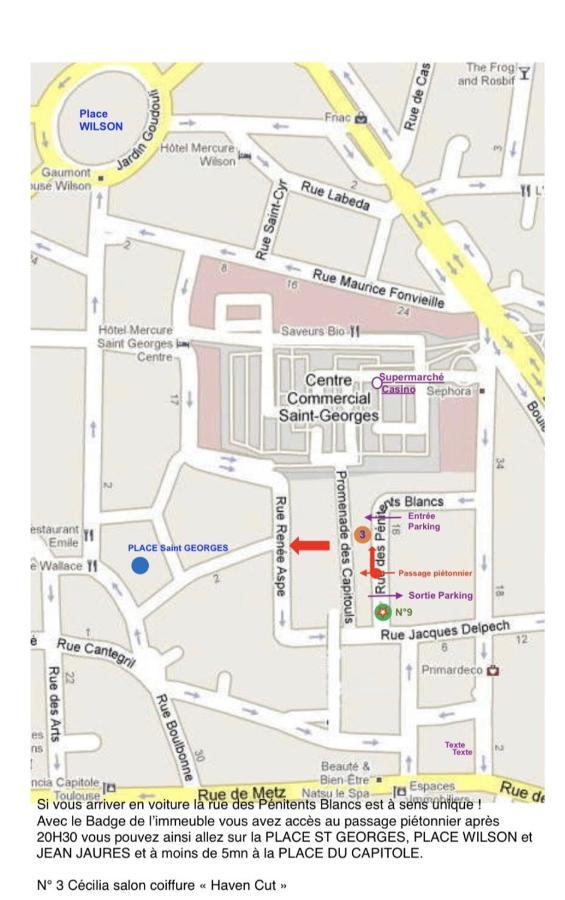 Hyper-Centre Historique Avec Possibilite De Reservation Parking Toulouse Eksteriør bilde