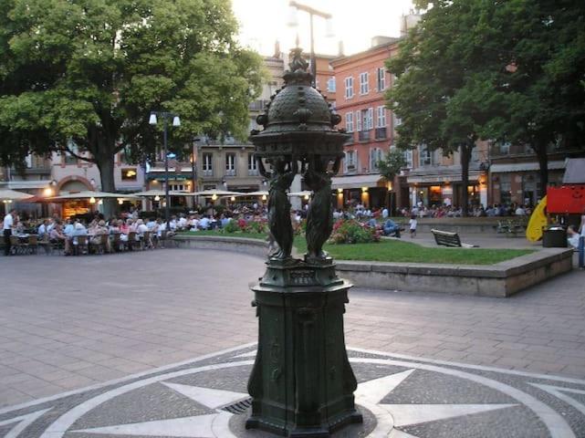 Hyper-Centre Historique Avec Possibilite De Reservation Parking Toulouse Eksteriør bilde